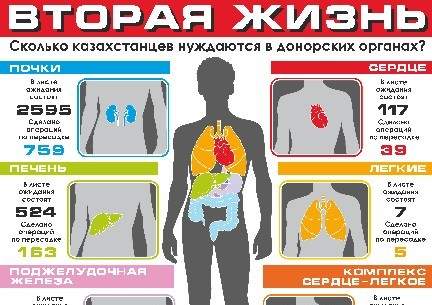 Вторая жизнь